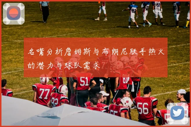 名嘴分析詹姆斯与布朗尼联手热火的潜力与球队需求